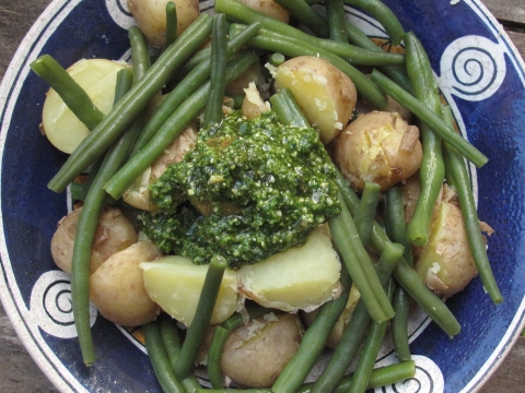 New Potatoes, french beans and pesto
